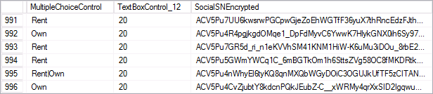 Encrypted Database Screenshot